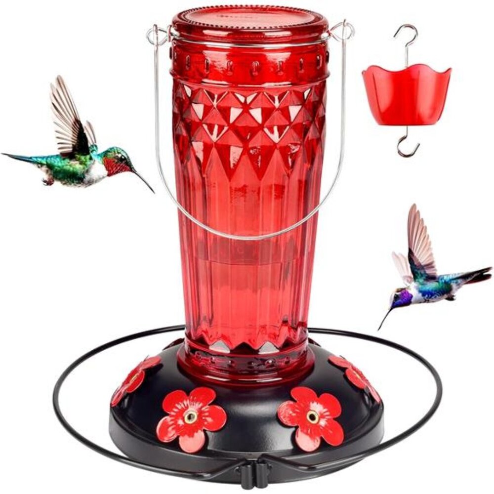 Hummingbird Feeder-16 Ounces，6 Feeding Ports Glass Hummingbird feeders